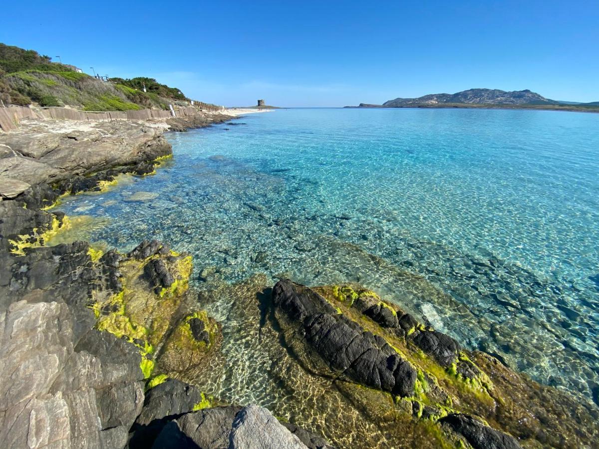 Marina di Sorso All'Ombra Dei Pini - Casa Vacanze Pet Friendly 아파트 외부 사진