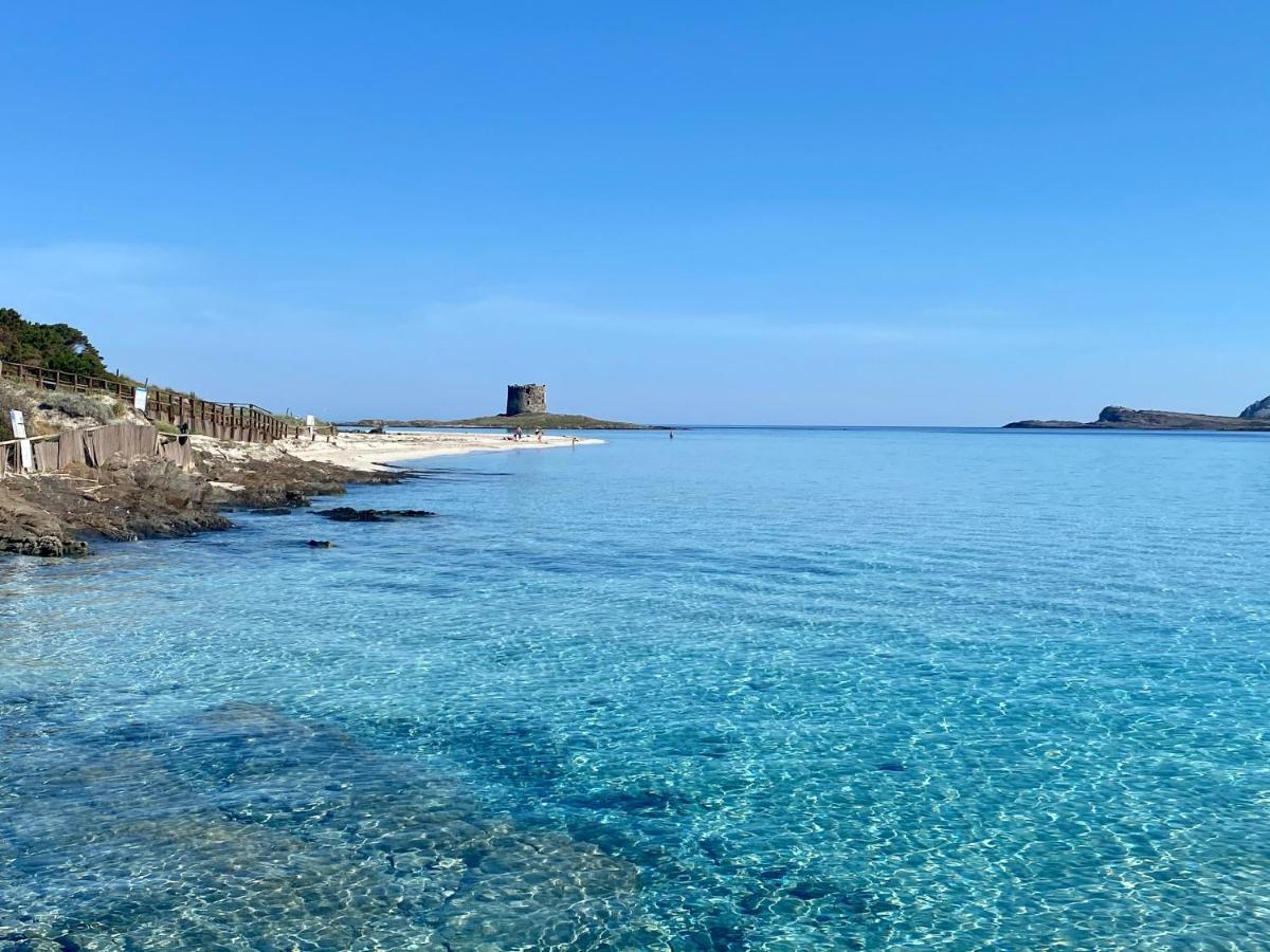 Marina di Sorso All'Ombra Dei Pini - Casa Vacanze Pet Friendly 아파트 외부 사진